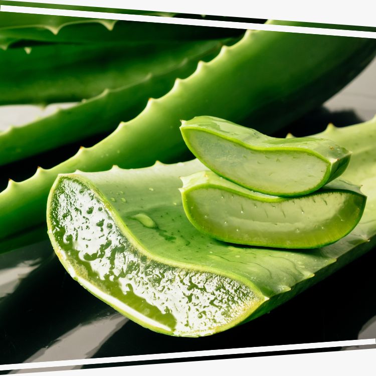 Shampoing Bio Cheveux secs miel bio et avoine bio apaisement cuir chevelu