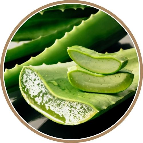 Masque capillaire fruit bio ingredients jus d'aloe verra bio