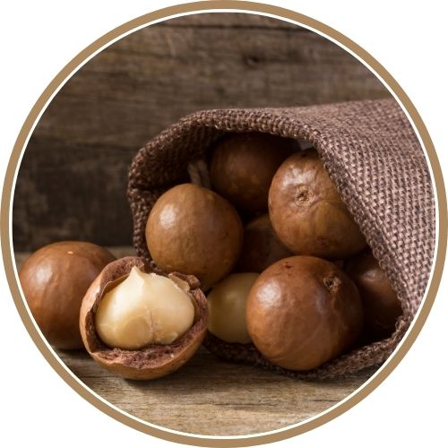 Masque capillaire fruit bio ingredients huile de macadamia